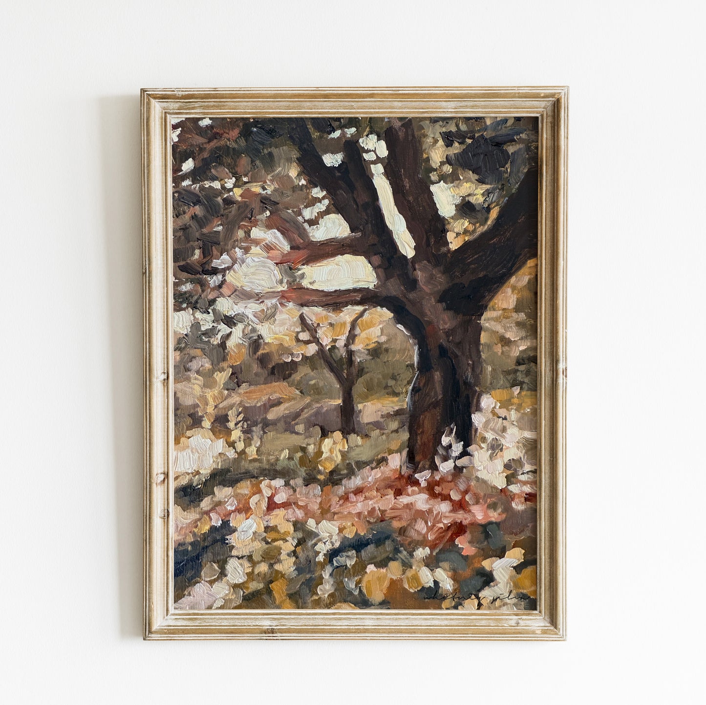 Sunoak