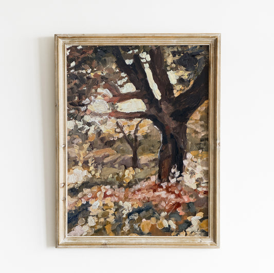 Sunoak